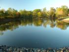 A day at Lake Tobias Wildlife Refuge, Halifax PA.