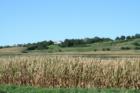 Life in the Loess Hills of Western Iowa