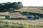 Life in the Loess Hills of Western Iowa