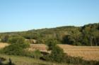 Life in the Loess Hills of Western Iowa