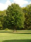 Lancaster Township Community Park