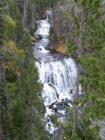 This is a nice waterfall we saw in Yellowstone National Park