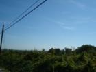 Ar119146268393092_l