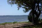 beautiful shoreline at Under the Oaks Park in Parker, FL (a city within Panama City proper)