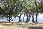 Under the Oaks Park on East Bay is one of the most beautiful areas of Bay County.  There is a walking park and a children's playground built by local volunteer organizations. 