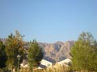 Lynbrook is located in the northern edges of Las Vegas.  Faux gaslamps line the streets in the gated communities.
