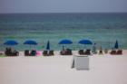 Ask any family... there's nothing better than a day at the beach!