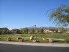Fifth & Farm is located in the growing city of North Las Vegas