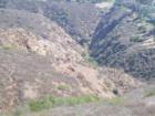 Box Canyon in the La Costa Preserve, in southeast Carlsbad