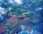 Aeirial of Haiku Maui, pineapple fields.