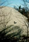 Mt. Baldy on the near west side of Michiganc where many people can be found perfecting their dune diving skills