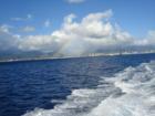 Rainbow over Honolulu