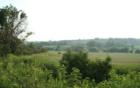 Life in the Loess Hills