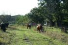 Life in the Loess Hills