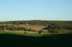 Life in the Loess Hills