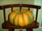 Now that is a fine Pumpkin!