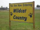 Wild Cat Country