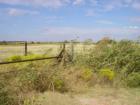 Wide Open Spaces