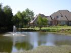 Gorgeous Natural Surroundings in Oak Tree Park