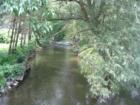 Wassaic Creek