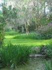Magnolia Plantation - You owe it to yourself to see this majestic place!