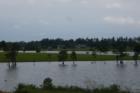 A view of one of the lakes at Dawnland from Pendora. NW. Gulfport