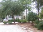 Magnolia Springs, AL