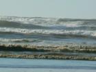 Friday October 5, 2007 The Ocean Waves its beauty as the Kite Festival is admired.