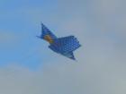 Ar119169596341986_l