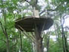 Tree house on a hillside
