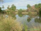 Evelyn Hallman Park (formerly known as Tempe Canal Park), Tempe AZ