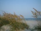 On the beach again...