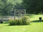 Shop Pond Hampstead NH Home of the fishing derby 