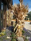 Depiero's Farms in Montvale New Jersey in the Pascack Valley