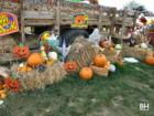 Depiero's Farms in Montvale New Jersey in the Pascack Valley
