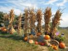 Depiero's Farms in Montvale New Jersey in the Pascack Valley