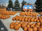 Depiero's Farms in Montvale New Jersey in the Pascack Valley
