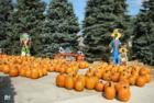Depiero's Farms in Montvale New Jersey in the Pascack Valley