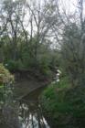 Creek through the Loess Hills near Pisgah