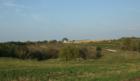 Apple Orchards area east of Mondamin in the Loess Hills
