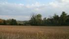 Loess Hills near Mondamin
