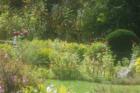 Hollis New Hampshire -- It's beginning to look a lot like autumn  Maple Hill Farm Gardens
      (c) 2007 Joan Whitebook