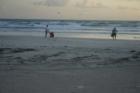 Fishermen and early birds