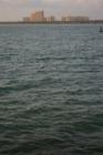 New Smyrna. Minorca