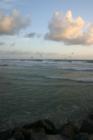 Pelicans ready for fising