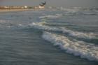 Pelicans fishing