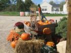 Pumpkins