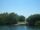 trees on Biscayne Bay shores at Palmetto Bay