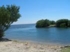 The shores of Biscayne Bay
