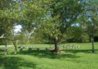Campfire facilities at Bill Sadowski Park